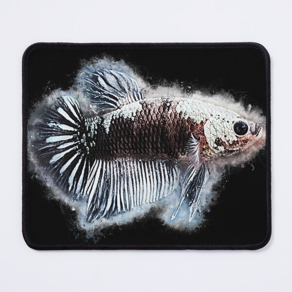 Item preview, Black Samurai fighting fish designed and sold by AquariumLutter.