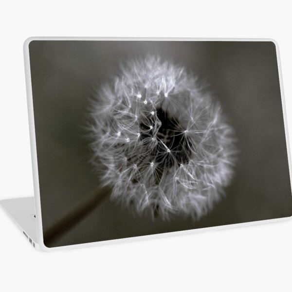 .........it's all in my HEAD Laptop Skin