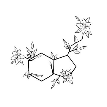 Imagen de la obra Serotonina de Doctor Michaela