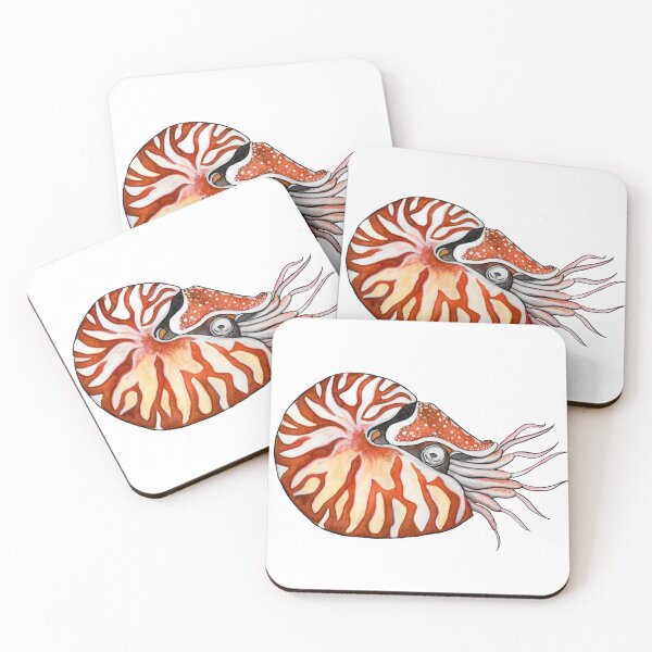 Item preview, Nautilo designed and sold by Natasha Mansfield.