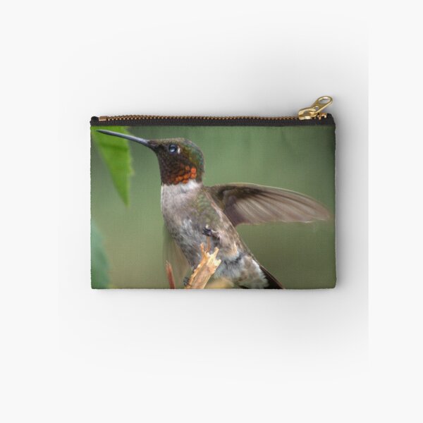 Item preview, Ruby Throated Hummingbird designed and sold by Bradley Sumner.