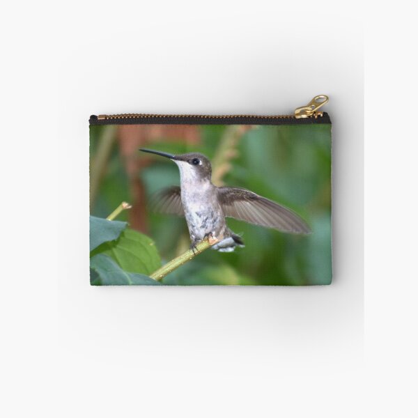 Item preview, Female Ruby Throated Hummingbird designed and sold by Bradley Sumner.