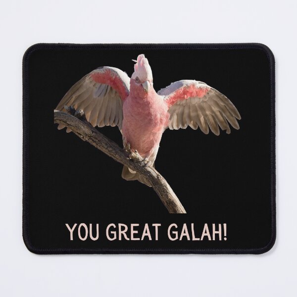 Item preview, You great galah! Photograph of pink and grey galah, black background, light colour text. designed and sold by JellyBeenzz.