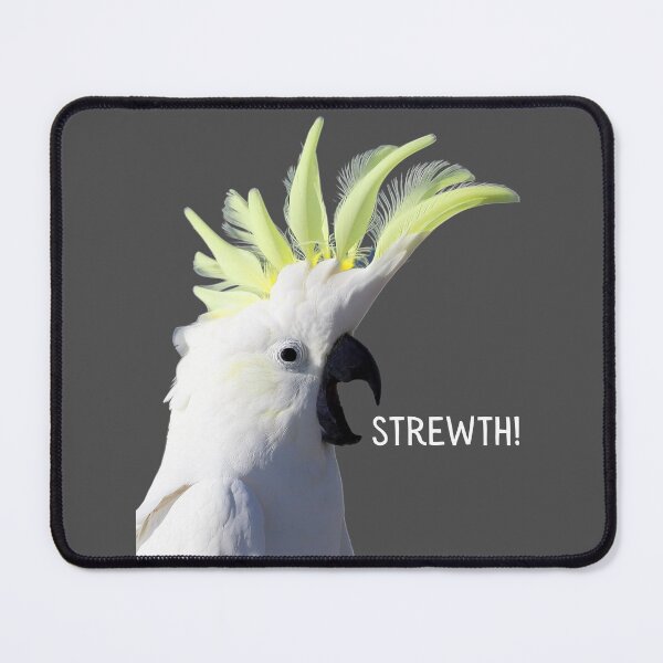 Item preview, Strewth! Sulphur crested, white cockatoo. Photograph and light colour text. designed and sold by JellyBeenzz.