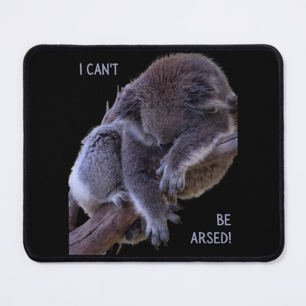 Item preview, I can't be arsed! Photo of a koala sleeping in a tree and grey text. designed and sold by JellyBeenzz.