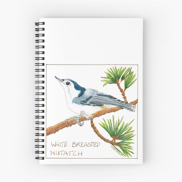 Item preview, White Breasted Nuthatch in Pine Tree designed and sold by Stephanie Sipp.