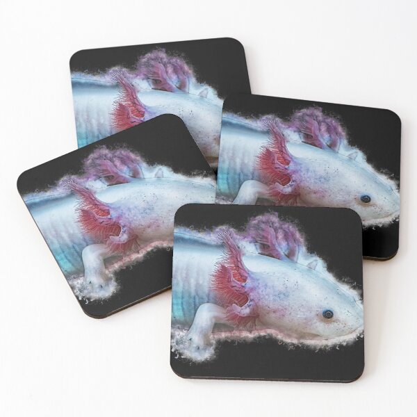 Item preview, Axolotl transverse newt - Ambystoma mexicanum designed and sold by AquariumLutter.