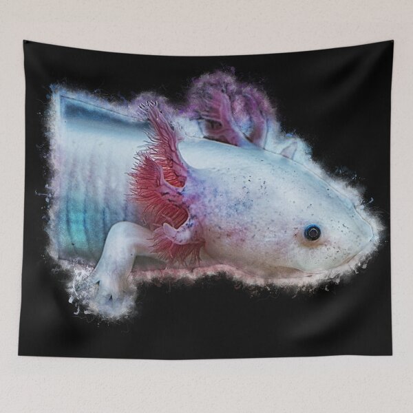 Item preview, Axolotl transverse newt - Ambystoma mexicanum designed and sold by AquariumLutter.