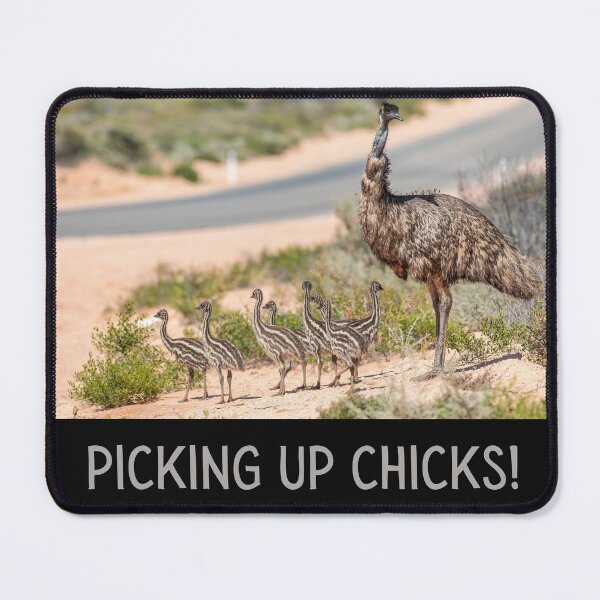 Item preview, Picking up chicks. Photograph of an emu with her chicks and grey text. designed and sold by JellyBeenzz.