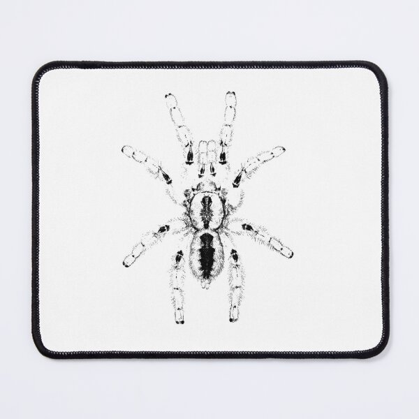 Item preview, Poecilotheria metallica ornament tarantula spider art graphic black designed and sold by Avicularious.