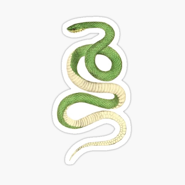 Item preview, Smooth Green Snake designed and sold by ProhibitionStickers.