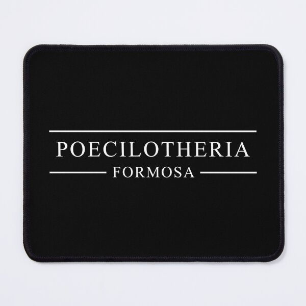 Item preview, Poecilotheria formosa ornament tarantula spider latin name scientific text designed and sold by Avicularious.
