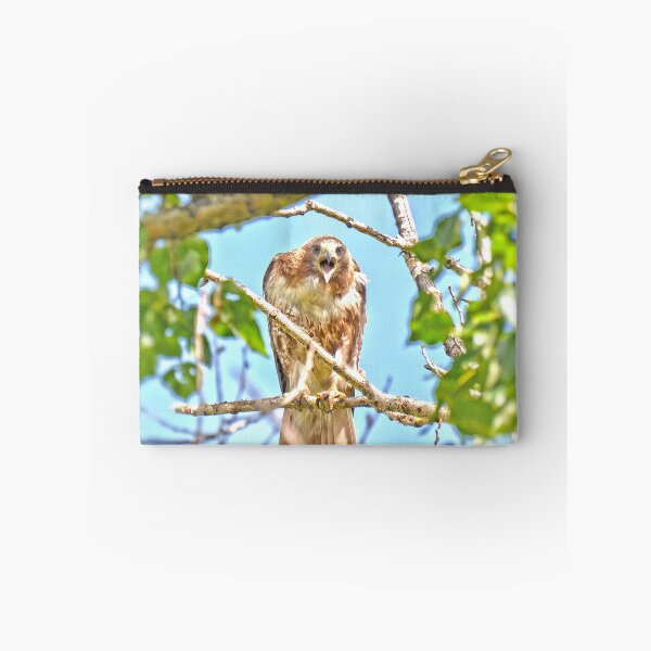 Item preview, Screamer  designed and sold by Judy Ann  Grant.