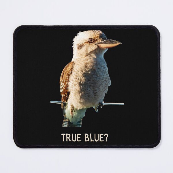 Item preview, True blue? Kookaburra close up. Photograph and light colour text. designed and sold by JellyBeenzz.