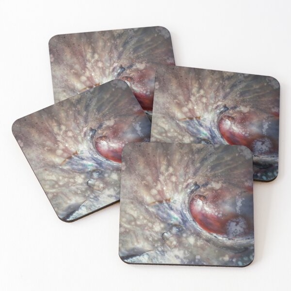 Item preview, IMAGE PRINT ONLY Art in Nature Abalone Shell Natural Art Mermaid Tail Splash designed and sold by Beachy.