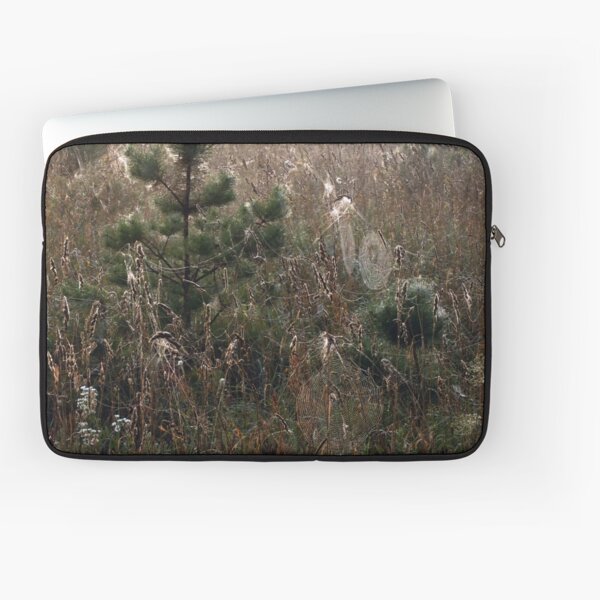 Grassland in spider webs or Spiderland Laptop Sleeve