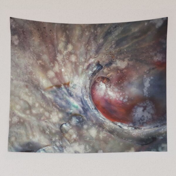 Item preview, IMAGE PRINT ONLY Art in Nature Abalone Shell Natural Art Mermaid Tail Splash designed and sold by Beachy.