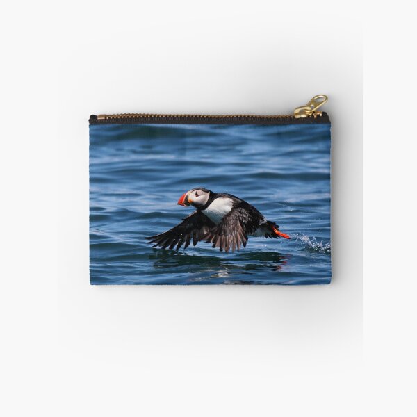 Item preview, Atlantic Puffing taking off designed and sold by Rob Lavoie.