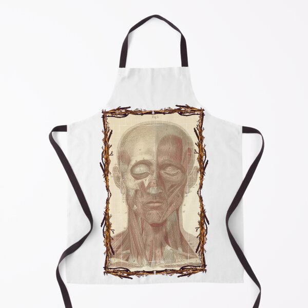 Item preview, Anatomical board Skull and facial muscles - Anatomical designs, human body and anatomy boards designed and sold by AdvanceDesign.