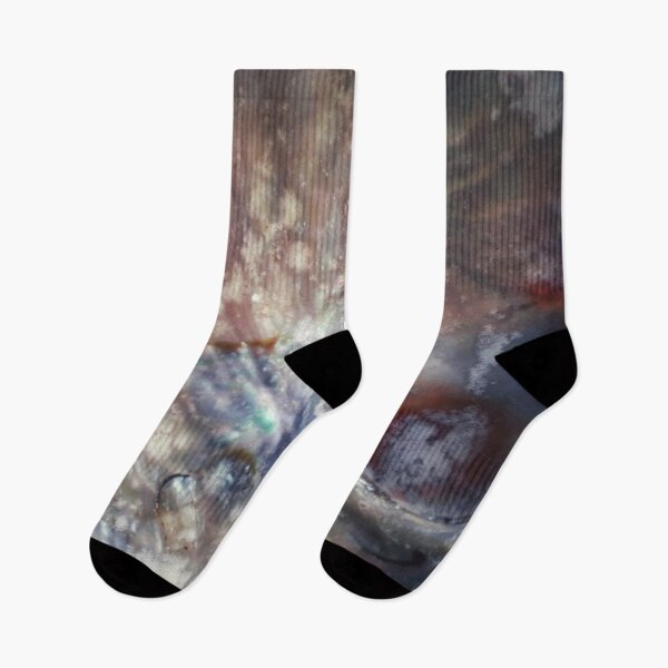 Item preview, IMAGE PRINT ONLY Art in Nature Abalone Shell Natural Art Mermaid Tail Splash designed and sold by Beachy.