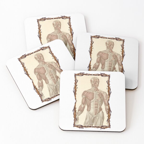 Artikelvorschau, Anatomical Board Torso- und Gesichtsmuskeln - Anatomische Designs, Human Body and Anatomy Boards entworfen und verkauft von AdvanceDesign.