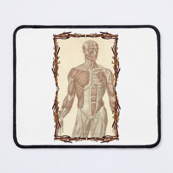 Item preview, Tablero anatómico Torso y músculos faciales: diseños anatómicos, tableros de cuerpo humano y anatomía designed and sold by AdvanceDesign.