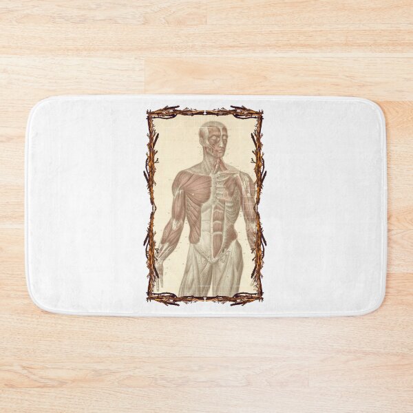 Item preview, Anatomical board Muscles of the torso and face - Anatomical designs, human body and anatomy boards designed and sold by AdvanceDesign.