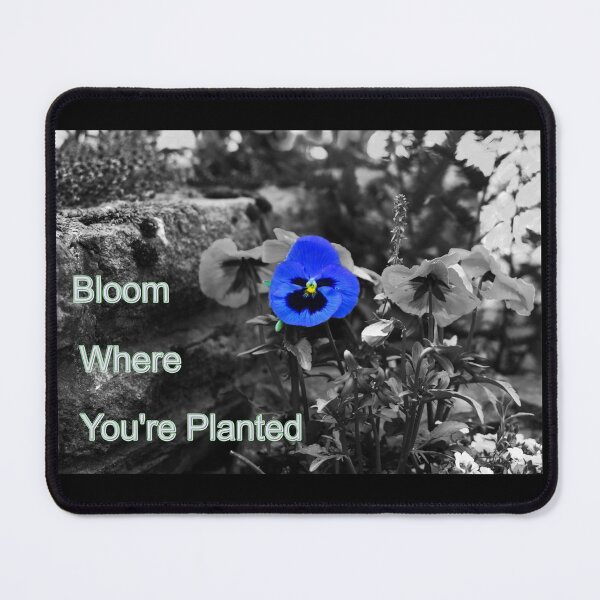 Item preview, Bloom where you're planted designed and sold by PicsByTony.