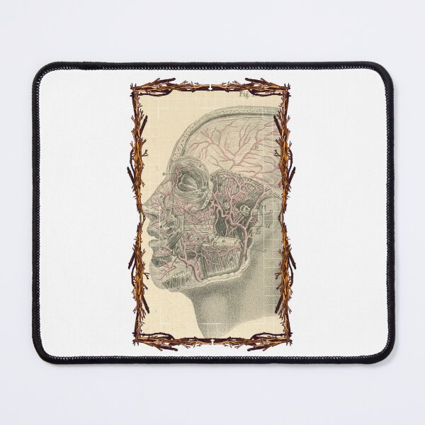 Item preview, Tablero anatómico Sistema vascular de la cabeza: diseños anatómicos, tableros de cuerpo humano y anatomía designed and sold by AdvanceDesign.