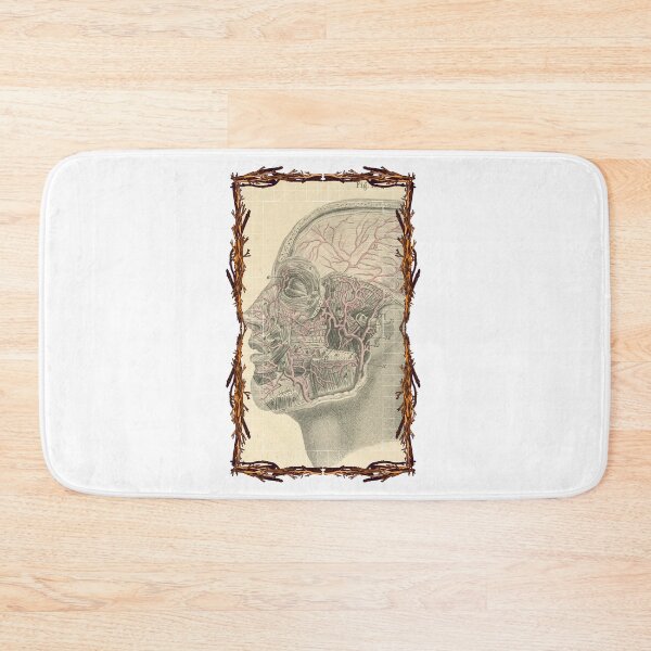 Item preview, Anatomical board Vascular system of the head - Anatomical designs, human body and anatomy boards designed and sold by AdvanceDesign.