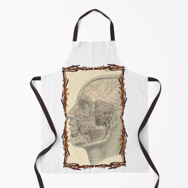 Item preview, Anatomical board Vascular system of the head - Anatomical designs, human body and anatomy boards designed and sold by AdvanceDesign.