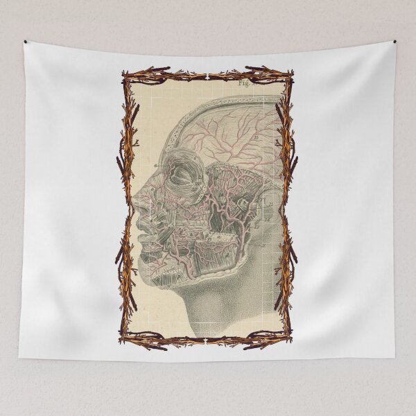 Item preview, Anatomical board Vascular system of the head - Anatomical designs, human body and anatomy boards designed and sold by AdvanceDesign.