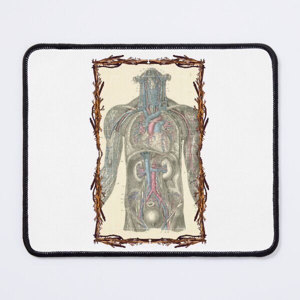 Item preview, Sistema vascular de placa anatómica: diseños anatómicos, placas de anatomía y cuerpo humano designed and sold by AdvanceDesign.