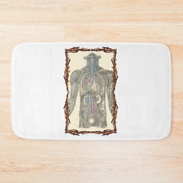 Item preview, Anatomical board Vascular system - Anatomical designs, human body and anatomy boards designed and sold by AdvanceDesign.