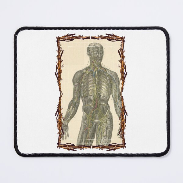 Item preview, Sistema linfático de placa anatómica: diseños anatómicos, cuerpo humano y placas de anatomía designed and sold by AdvanceDesign.