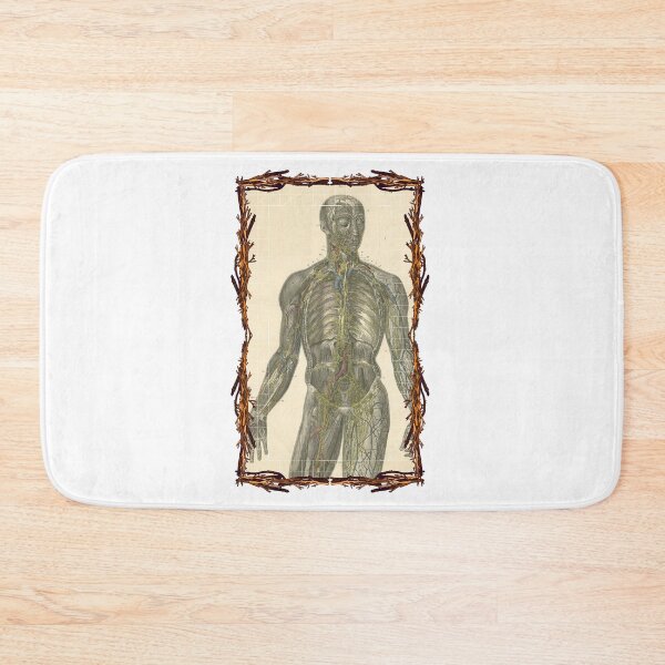 Item preview, Anatomical board Lymphatic system - Anatomical designs, human body and anatomy boards designed and sold by AdvanceDesign.