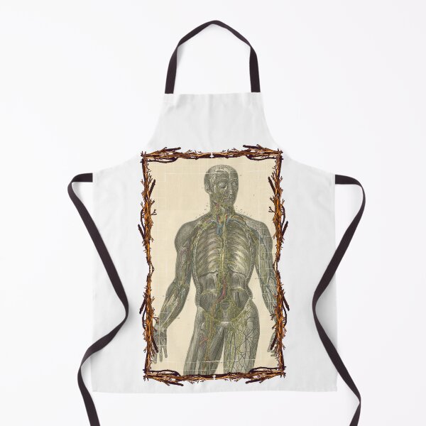 Item preview, Anatomical board Lymphatic system - Anatomical designs, human body and anatomy boards designed and sold by AdvanceDesign.