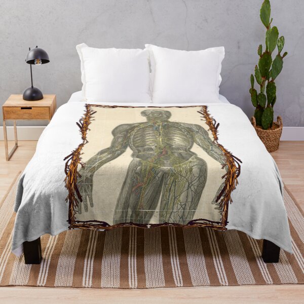 Item preview, Anatomical board Lymphatic system - Anatomical designs, human body and anatomy boards designed and sold by AdvanceDesign.