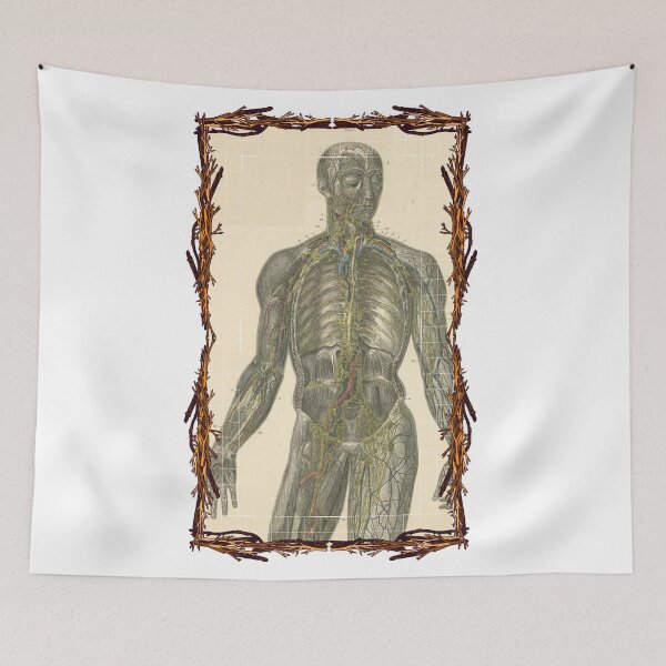 Item preview, Anatomical board Lymphatic system - Anatomical designs, human body and anatomy boards designed and sold by AdvanceDesign.