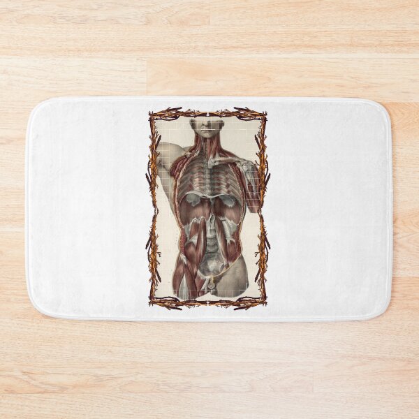 Item preview, Anatomical board Abdominal cavity - Anatomical designs, human body and anatomy boards designed and sold by AdvanceDesign.