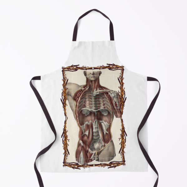 Item preview, Anatomical board Abdominal cavity - Anatomical designs, human body and anatomy boards designed and sold by AdvanceDesign.