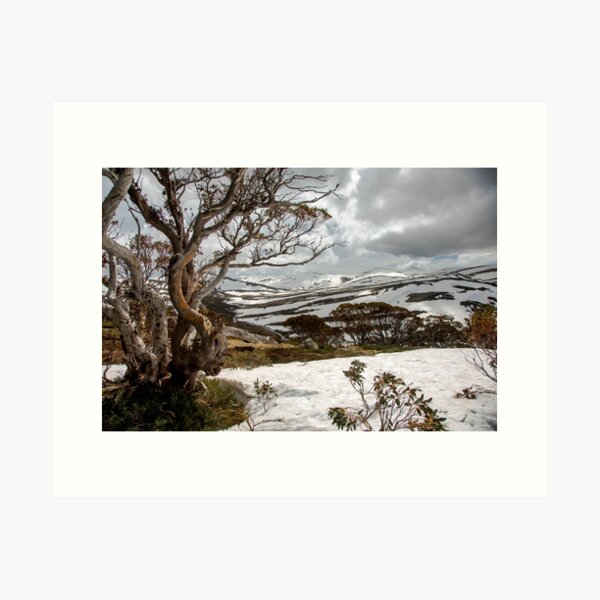 Item preview, Australian High Country designed and sold by Downunder Views.