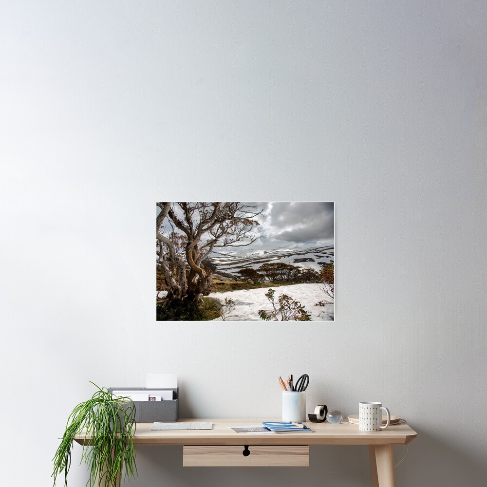 Item preview, Poster designed and sold by Sunseeker.
