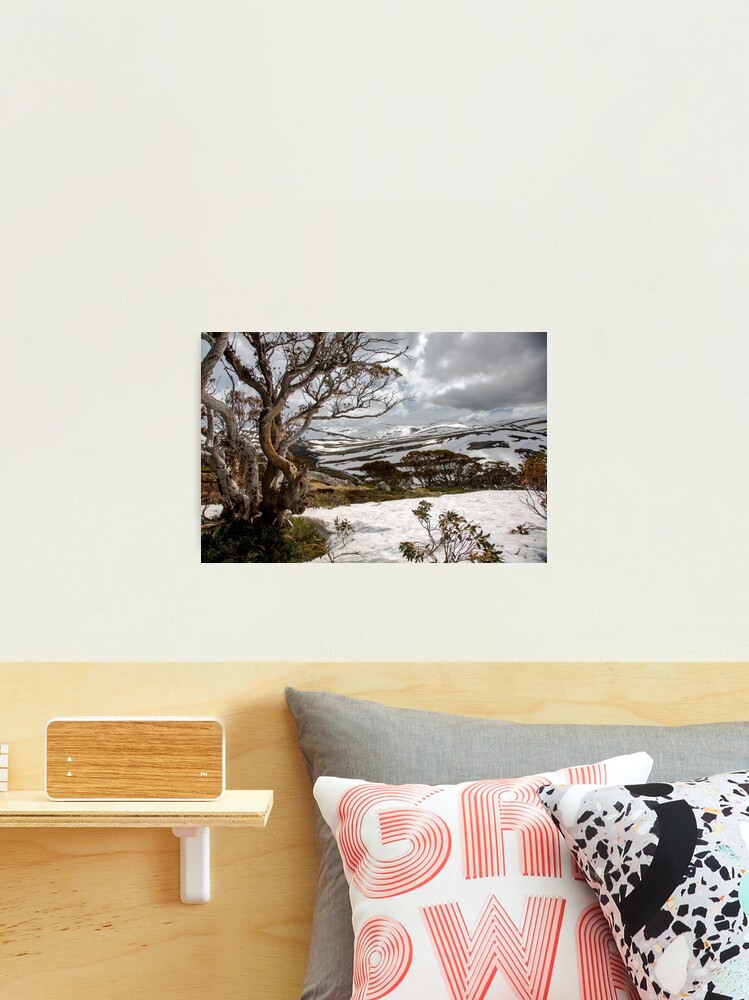Thumbnail 2 of 3, Photographic Print, Australian High Country designed and sold by Sunseeker.
