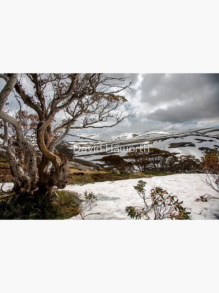 Thumbnail 3 of 3, Photographic Print, Australian High Country designed and sold by Sunseeker.