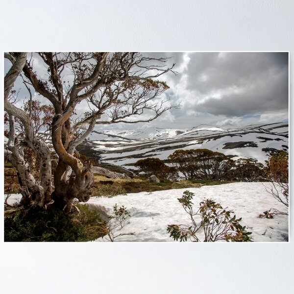 Item preview, Australian High Country designed and sold by Downunder Views.