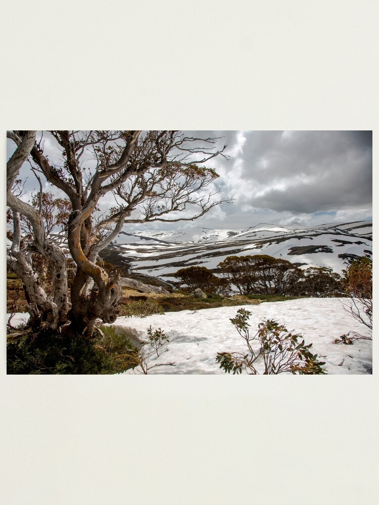 Thumbnail 1 of 3, Photographic Print, Australian High Country designed and sold by Sunseeker.