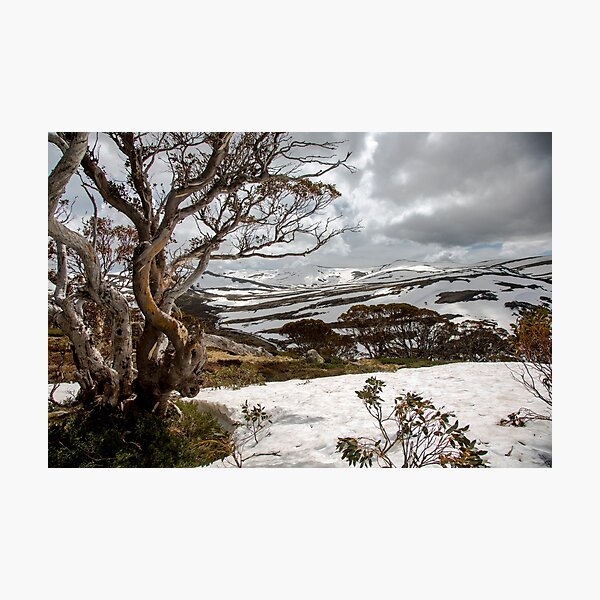 Item preview, Australian High Country designed and sold by Downunder Views.