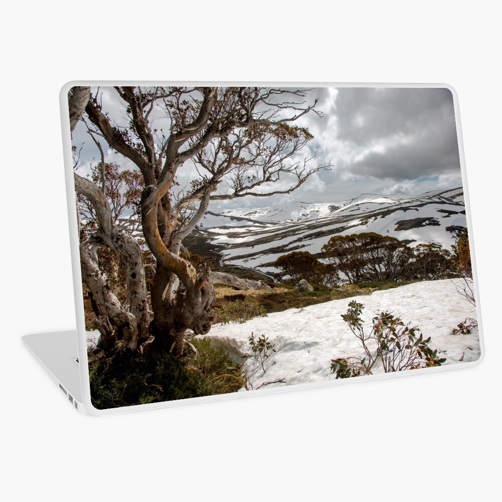 Item preview, Laptop Skin designed and sold by Sunseeker.