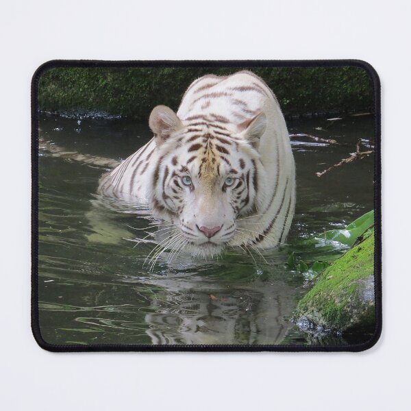 Item preview, White Tiger in Water designed and sold by Linda Walsh.